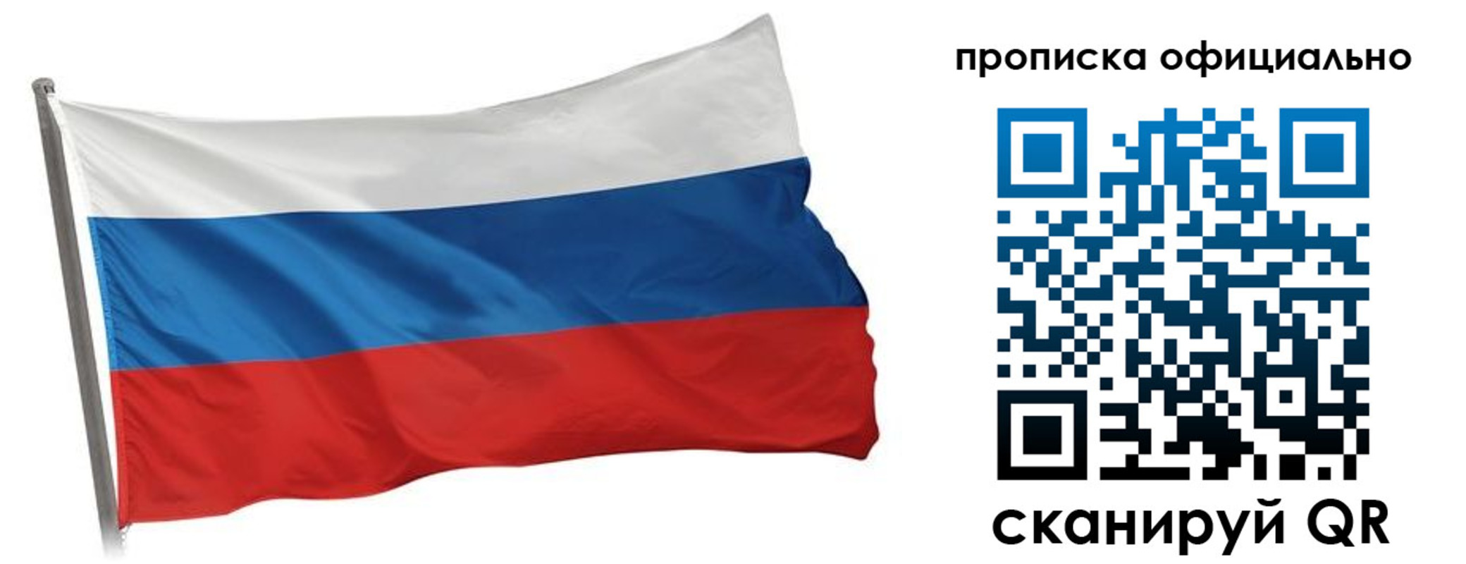 прописка в Вязьме